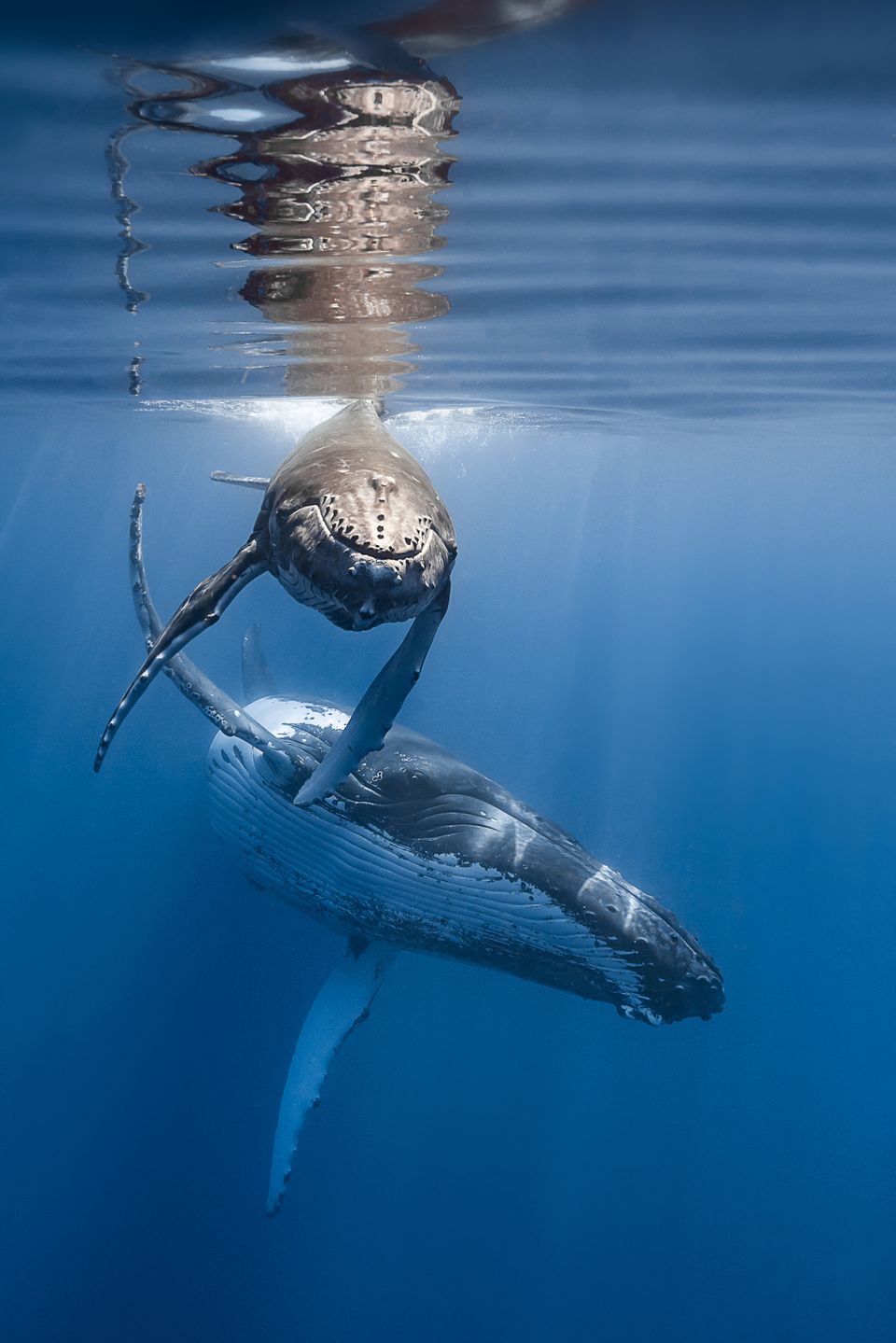 4th UN ESCAP Asia-Pacific Day for the Ocean