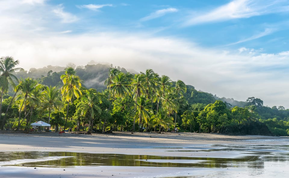 beach with palm trees in Costa Rica
