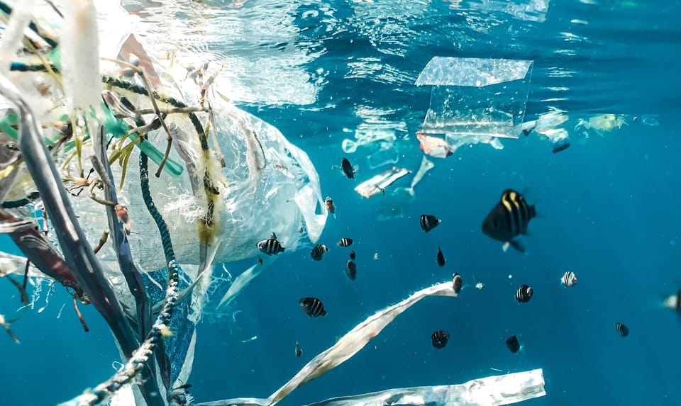 photo: Naja-Bertolt-Jensen