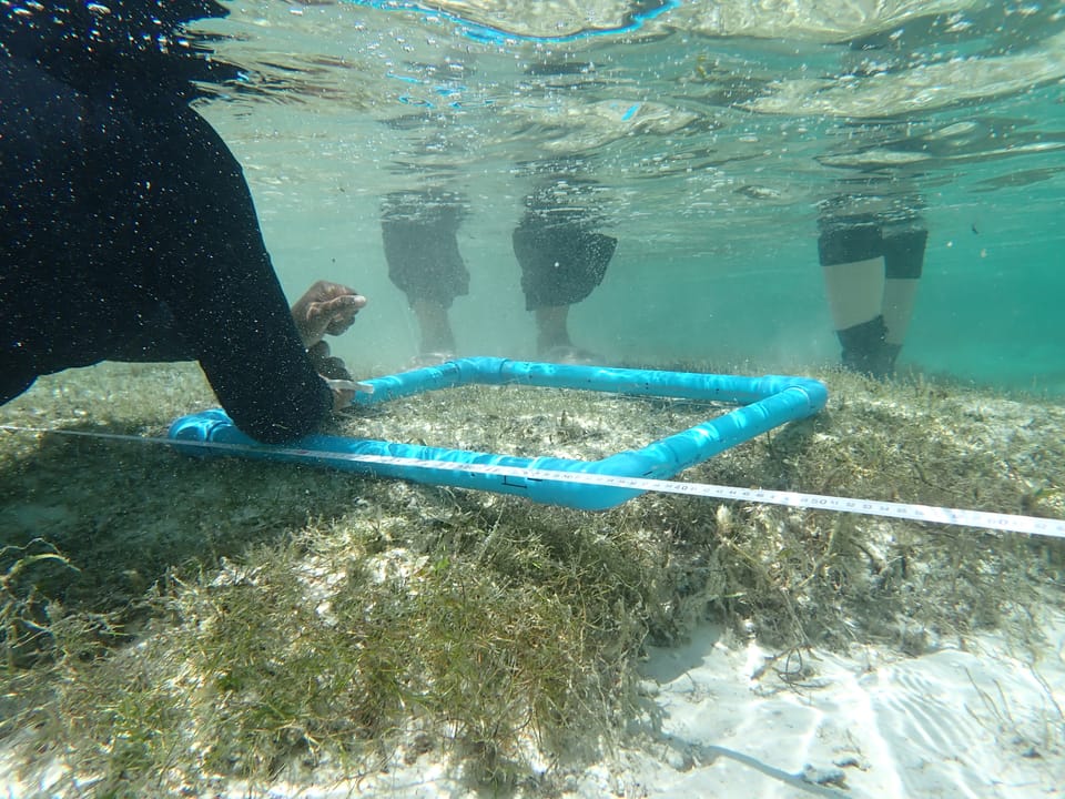 Natural Capital Accounting in Laamu Atoll